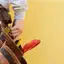 Handyman repair service in Clearwater, FL for home fixes and improvements