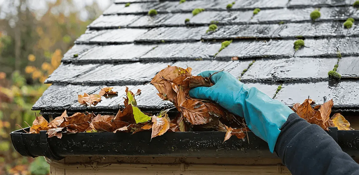 Gutter cleaning technician clearing wet leaves from roof gutters in Clearwater, FL